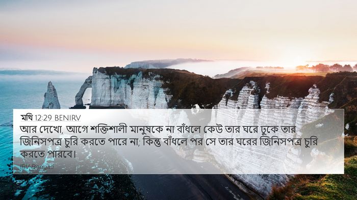 মথি 12:29 BENIRV Bible Verse Image