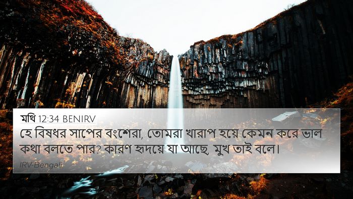 মথি 12:34 BENIRV Bible Verse Image