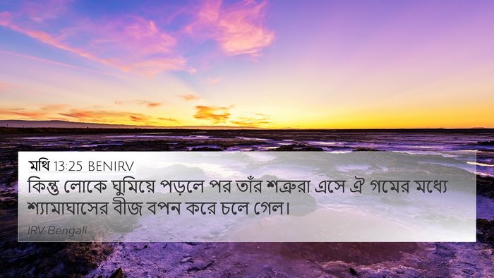 মথি 13:25 BENIRV Bible Verse Image