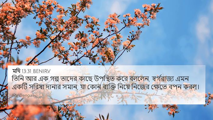 মথি 13:31 BENIRV Bible Verse Image