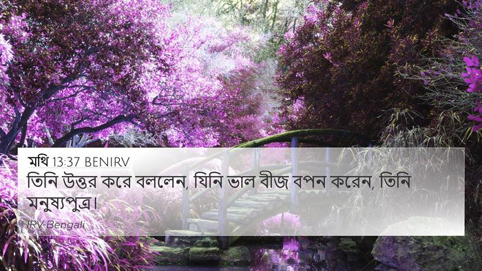 মথি 13:37 BENIRV Bible Verse Image