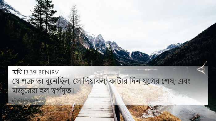 মথি 13:39 BENIRV Bible Verse Image