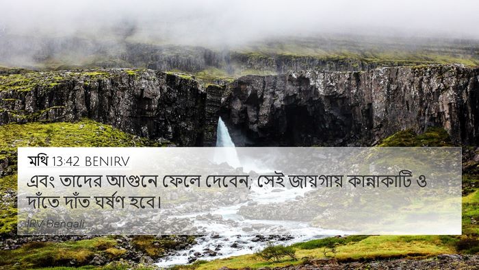 মথি 13:42 BENIRV Bible Verse Image