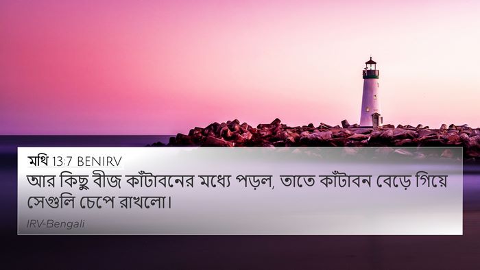 মথি 13:7 BENIRV 4K Wallpaper - আর কিছু বীজ - 4K Wallpaper Bible Verse