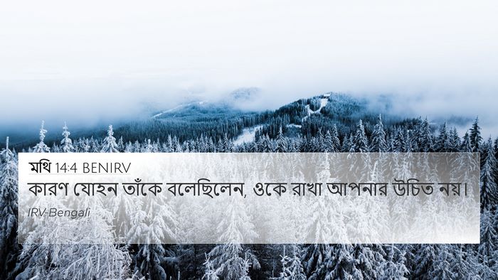 মথি 14:4 BENIRV 4K Wallpaper - কারণ যোহন তাঁকে - 4K Wallpaper Bible Verse