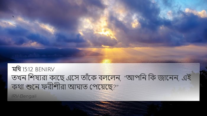 মথি 15:12 BENIRV Bible Verse Image