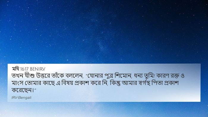 মথি 16:17 BENIRV Bible Verse Image