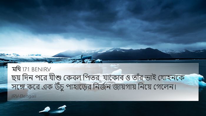 মথি 17:1 BENIRV Bible Verse Image