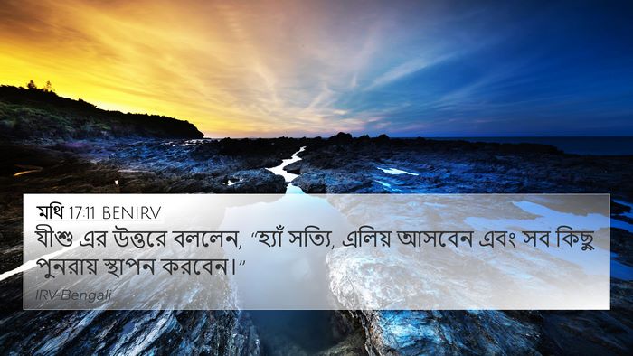 মথি 17:11 BENIRV Bible Verse Image