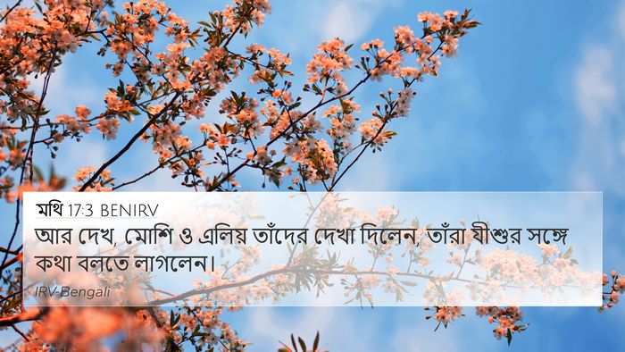 মথি 17:3 BENIRV 4K Wallpaper - আর দেখ, মোশি ও - 4K Wallpaper Bible Verse