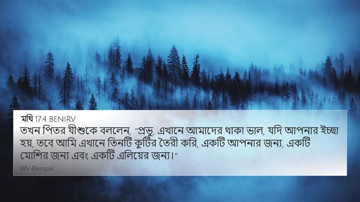 মথি 17:4 BENIRV 4K Wallpaper - তখন পিতর যীশুকে - 4K Wallpaper Bible Verse