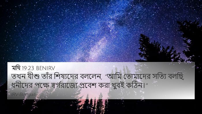 মথি 19:23 BENIRV Bible Verse Image