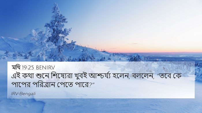 মথি 19:25 BENIRV Bible Verse Image