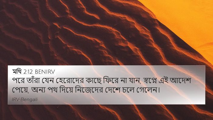 মথি 2:12 BENIRV Bible Verse Image