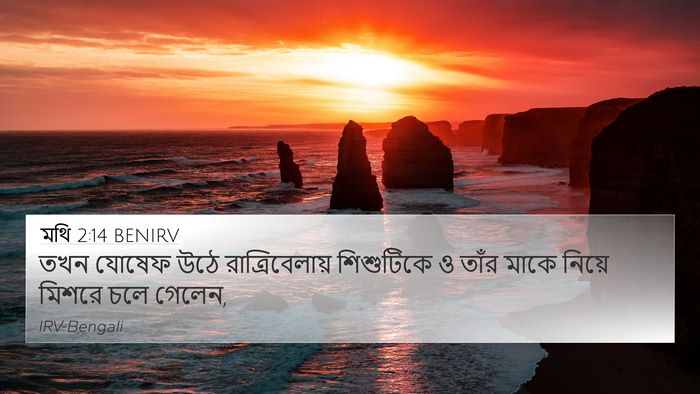 মথি 2:14 BENIRV 4K Wallpaper - তখন যোষেফ উঠে - 4K Wallpaper Bible Verse