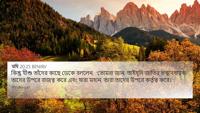 মথি 20:25 BENIRV Bible Verse Image