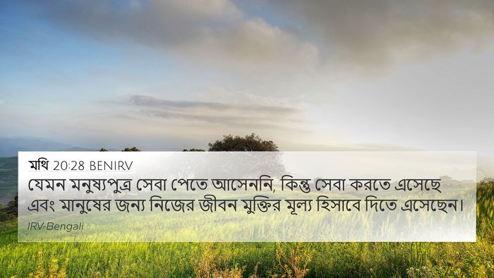 মথি 20:28 BENIRV Bible Verse Image