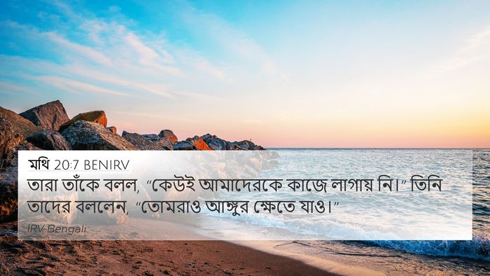 মথি 20:7 BENIRV 4K Wallpaper - তারা তাঁকে বলল, - 4K Wallpaper Bible Verse