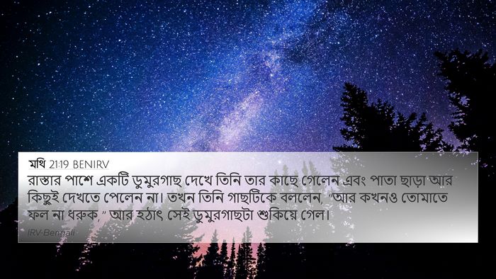 মথি 21:19 BENIRV Bible Verse Image