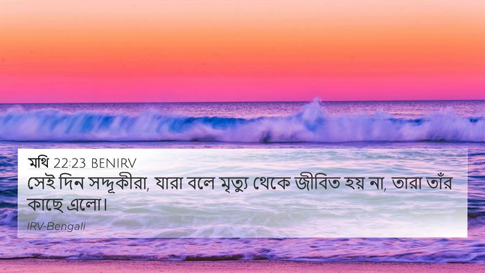 মথি 22:23 BENIRV 4K Wallpaper - সেই দিন সদ্দূকীরা, - 4K Wallpaper Bible Verse