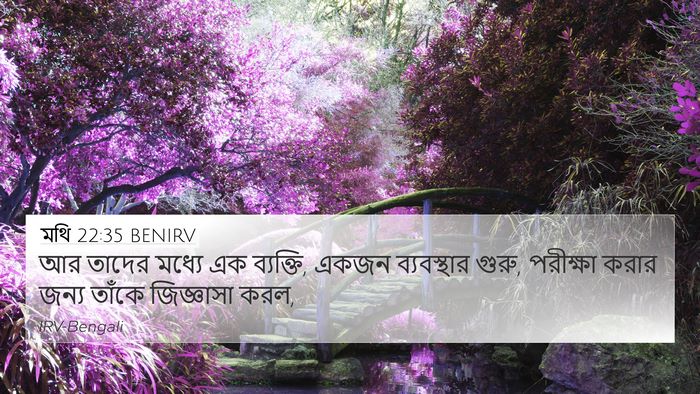 মথি 22:35 BENIRV Bible Verse Image