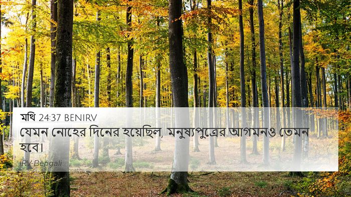 মথি 24:37 BENIRV Bible Verse Image