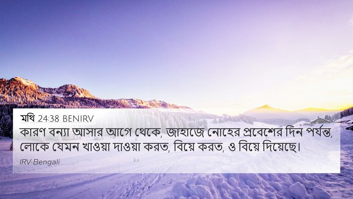 মথি 24:38 BENIRV Bible Verse Image