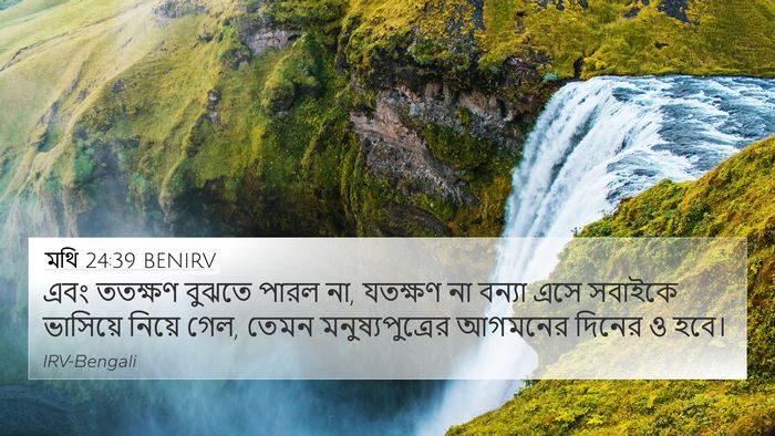 মথি 24:39 BENIRV Bible Verse Image