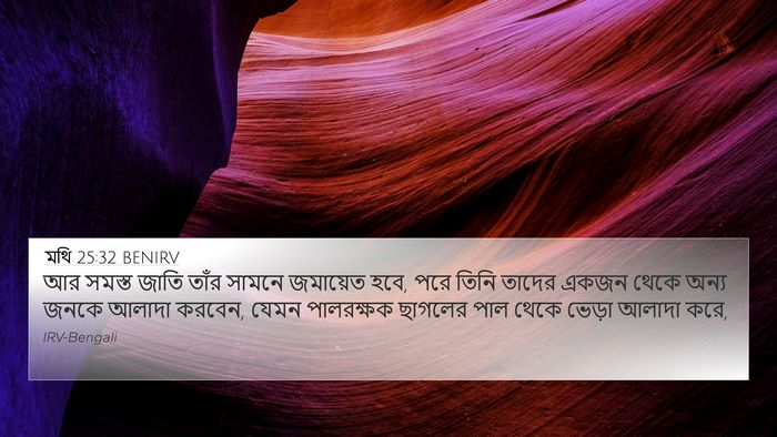মথি 25:32 BENIRV Bible Verse Image