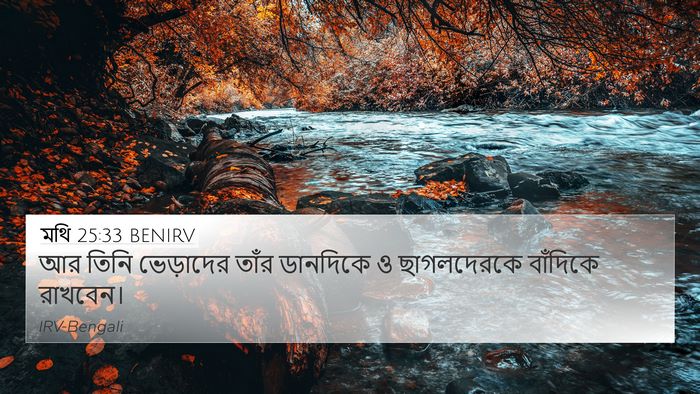 মথি 25:33 BENIRV 4K Wallpaper - আর তিনি ভেড়াদের - 4K Wallpaper Bible Verse