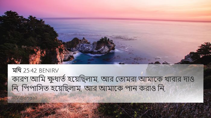 মথি 25:42 BENIRV Bible Verse Image