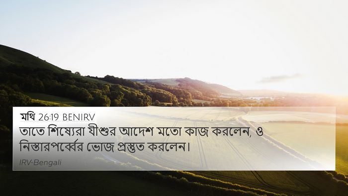 মথি 26:19 BENIRV 4K Wallpaper - তাতে শিষ্যেরা - 4K Wallpaper Bible Verse