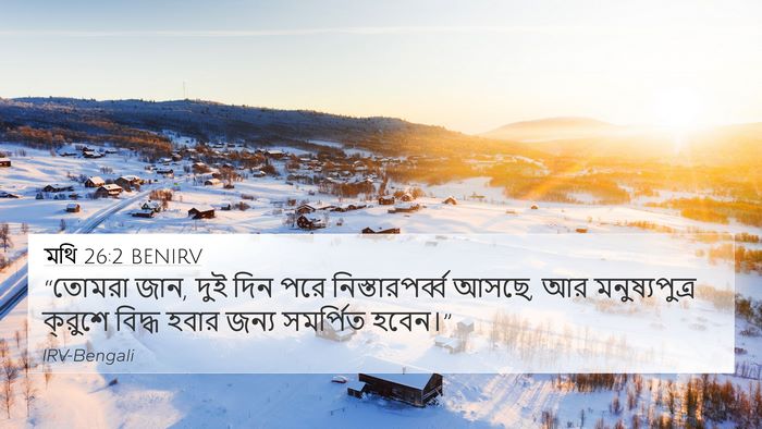 মথি 26:2 BENIRV Bible Verse Image