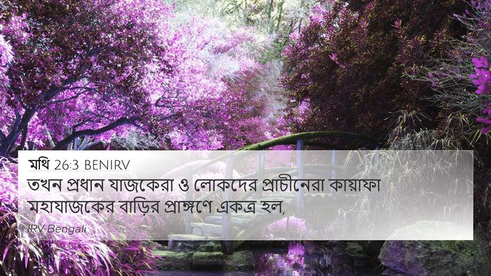 মথি 26:3 BENIRV Bible Verse Image