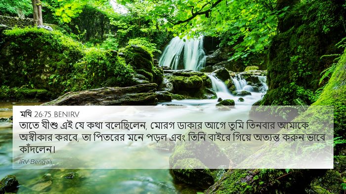 মথি 26:75 BENIRV Bible Verse Image