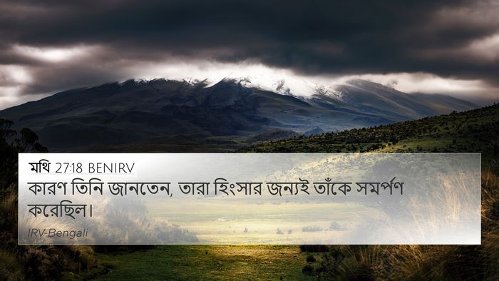 মথি 27:18 BENIRV Bible Verse Image