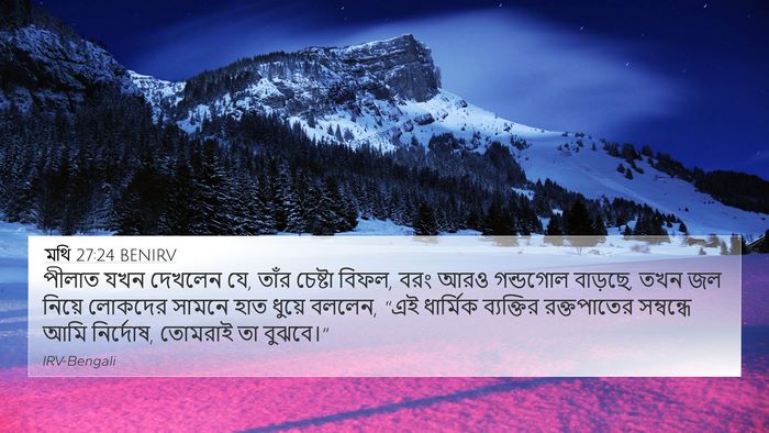 মথি 27:24 BENIRV Bible Verse Image