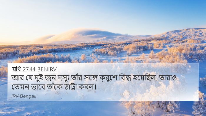 মথি 27:44 BENIRV Bible Verse Image