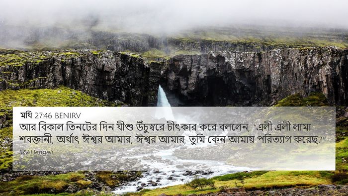 মথি 27:46 BENIRV Bible Verse Image