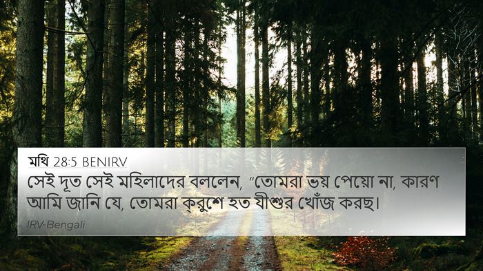 মথি 28:5 BENIRV Bible Verse Image