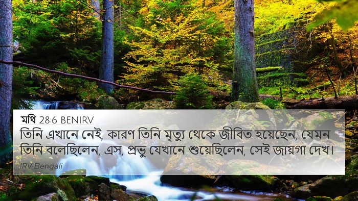 মথি 28:6 BENIRV Bible Verse Image