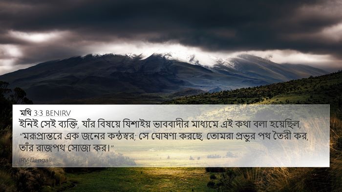 মথি 3:3 BENIRV Bible Verse Image