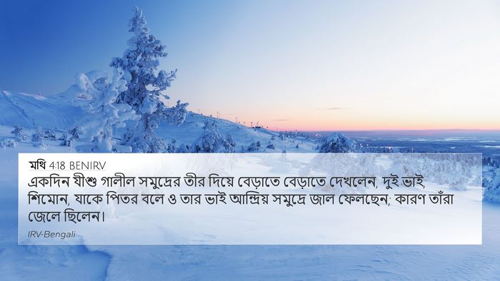 মথি 4:18 BENIRV Bible Verse Image