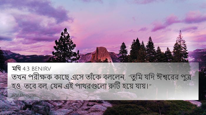 মথি 4:3 BENIRV Bible Verse Image