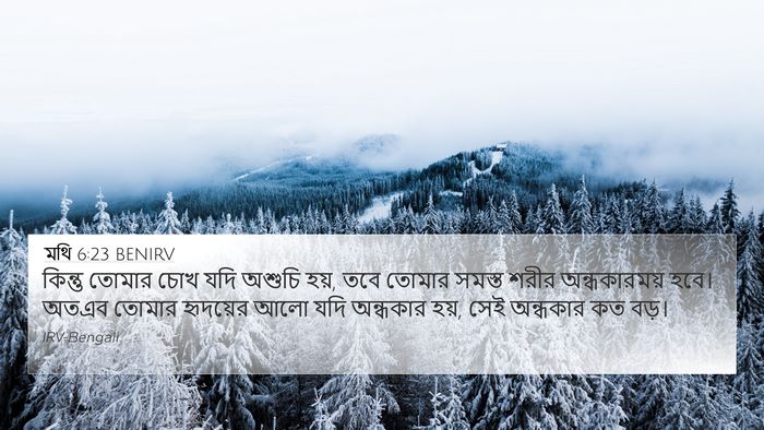 মথি 6:23 BENIRV Bible Verse Image