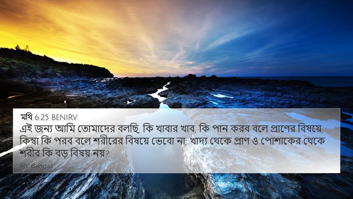 মথি 6:25 BENIRV Bible Verse Image