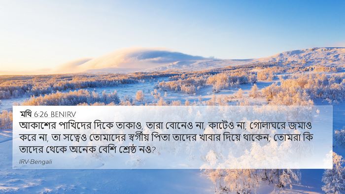 মথি 6:26 BENIRV 4K Wallpaper - আকাশের পাখিদের - 4K Wallpaper Bible Verse