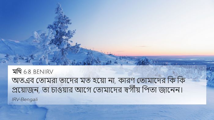মথি 6:8 BENIRV Bible Verse Image