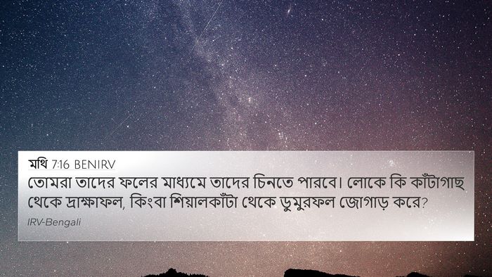 মথি 7:16 BENIRV Bible Verse Image