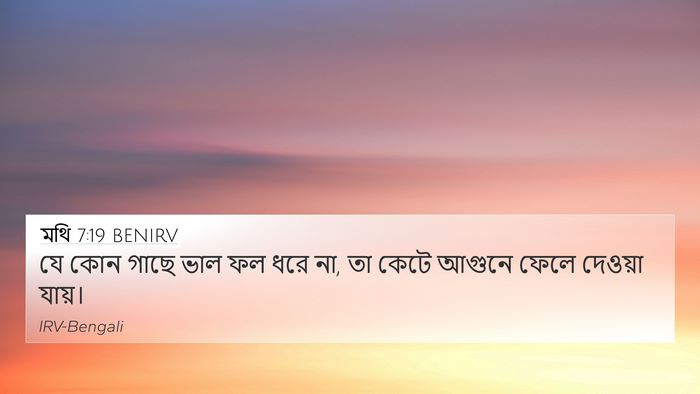 মথি 7:19 BENIRV Bible Verse Image